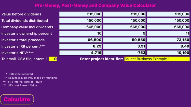 Company Valuation Calculator screenshot-3