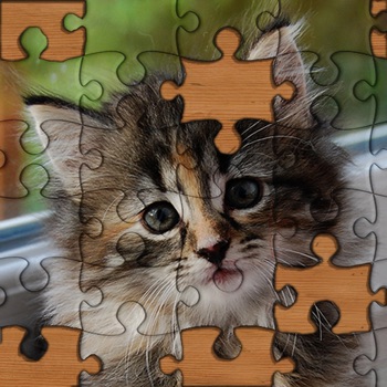 Legpuzzels