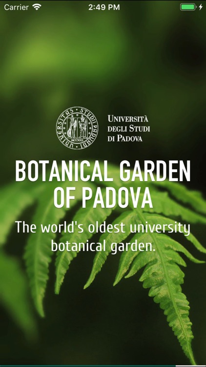 Botanical Garden of Padova