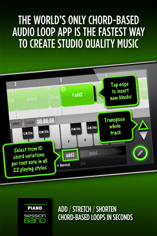 SessionBand Piano 1 screenshot 2