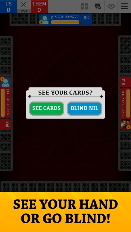 Spades Jogatina: Card Game screenshot-4