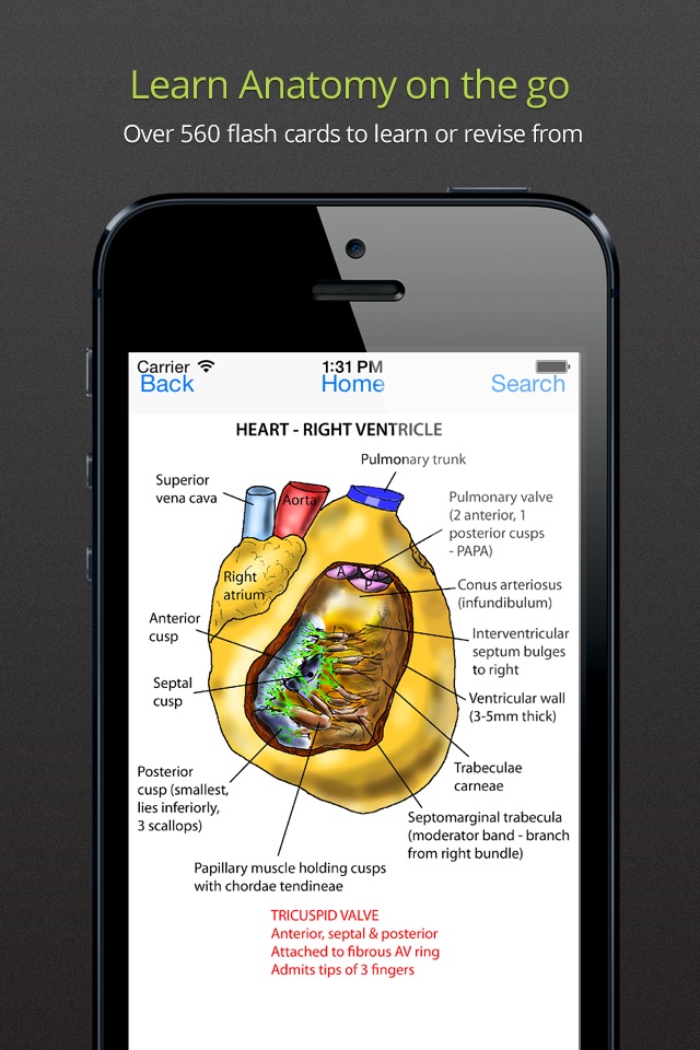 Instant Anatomy Anthology screenshot 2