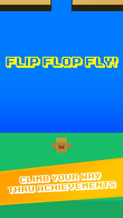 Flip Flop Fly