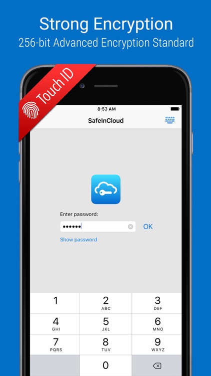 SafeInCloud Pro
