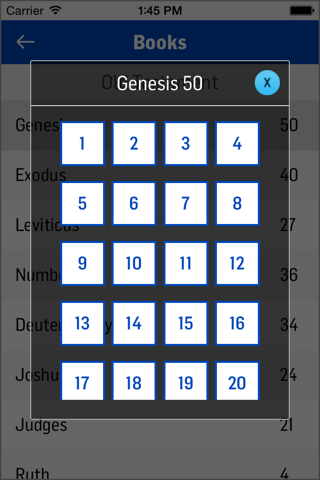 NKJV Bible - náhled