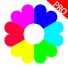 iAlbum Pro - プライベート写真やビデオアルバム - iPadアプリ