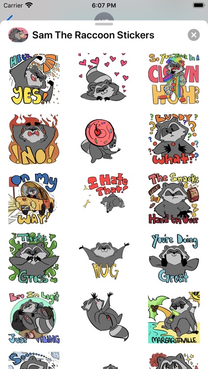 Sam The Raccoon Sticker Pack! screenshot-3