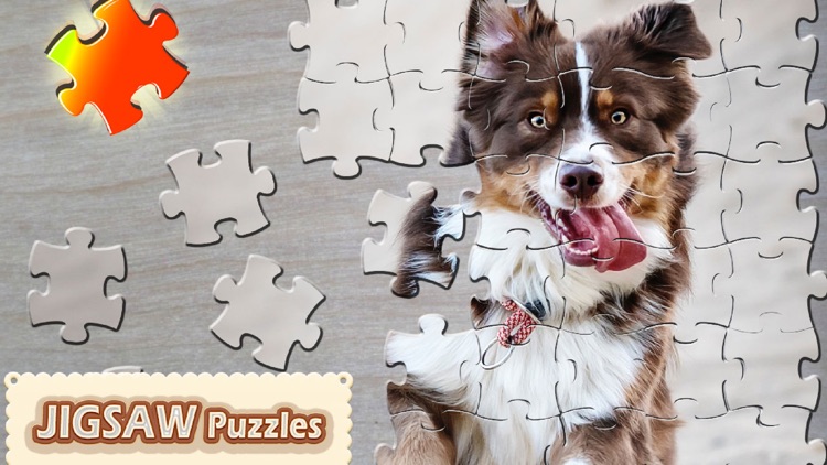 Jigsaw Puzzle Pieces