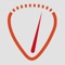 A tuner app for your guitar, bass guitar, and ukulele