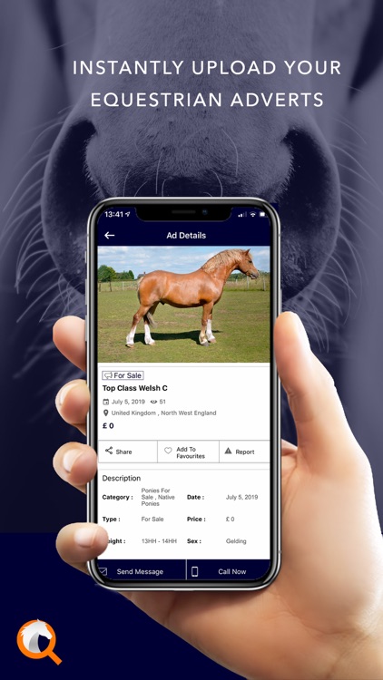 Equestrian Marketplace