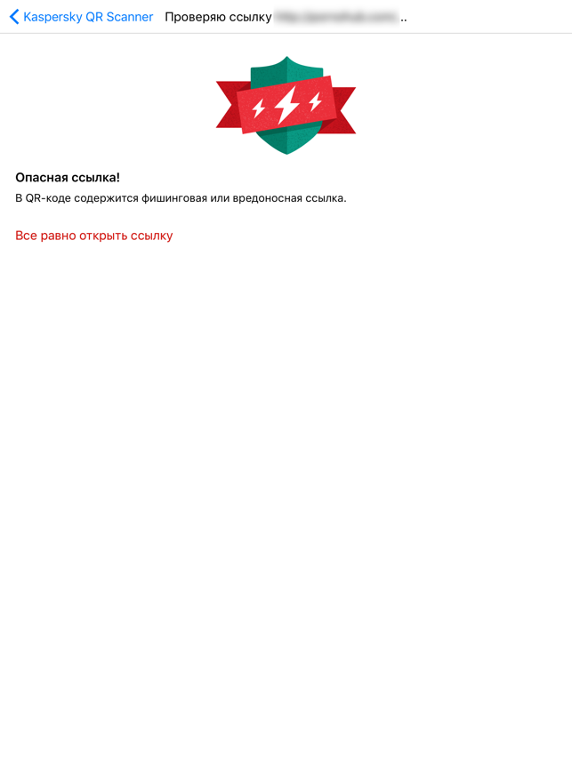‎Kaspersky QR Scanner Screenshot