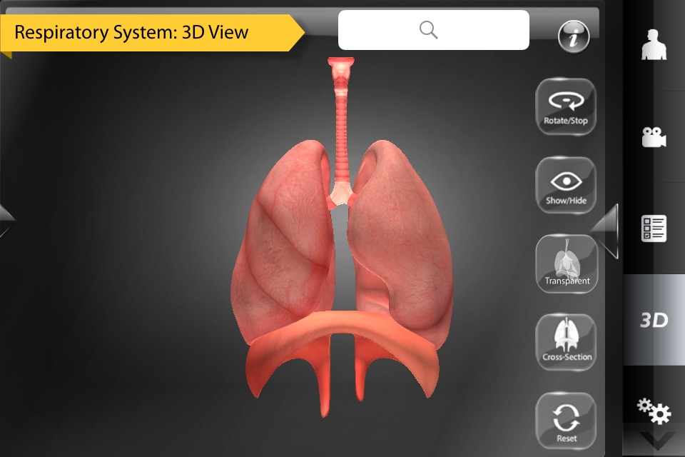 Human Anatomy for iPhone screenshot 3