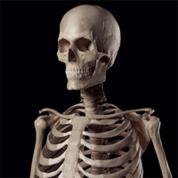 Human Skeleton Reference Guide apk