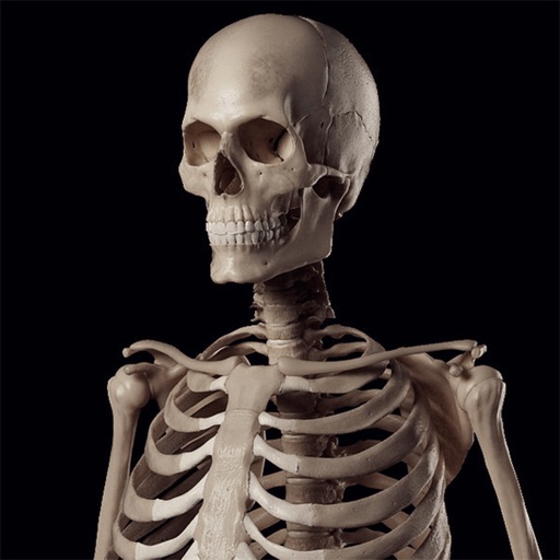 Human Skeleton Reference Guide iOS App