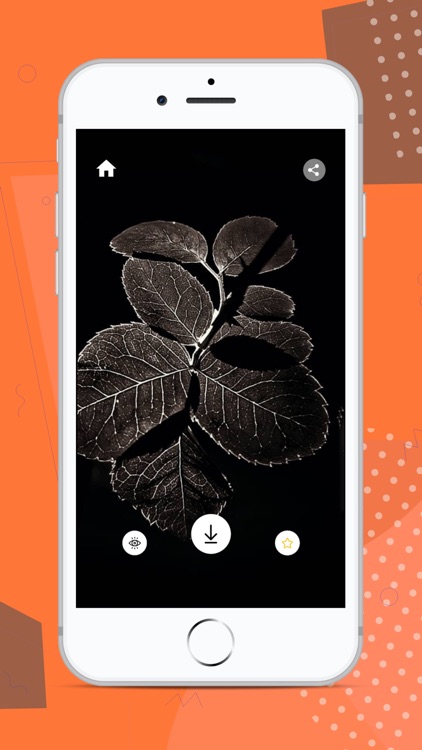 PhotoBi - Best Wallpaper App