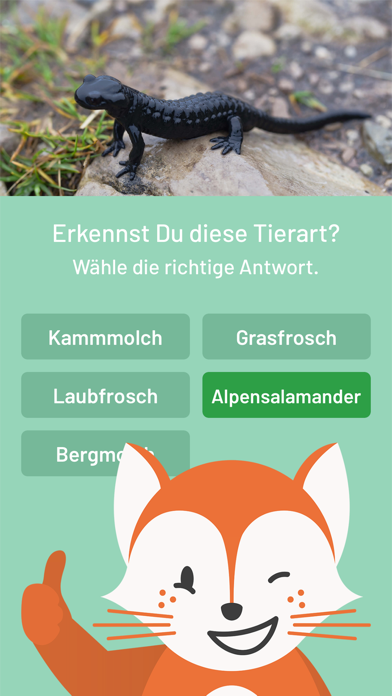 Der Fuchs auf Dux screenshot 3
