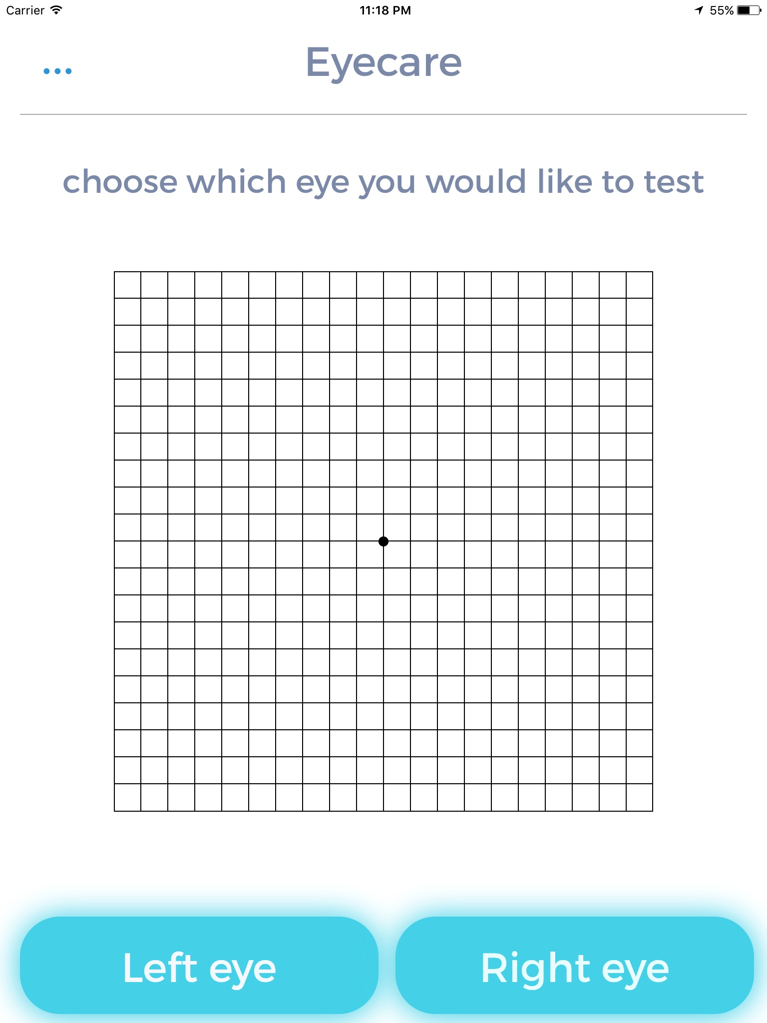 Eyecare- Amsler Grid Eye Test screenshot 3
