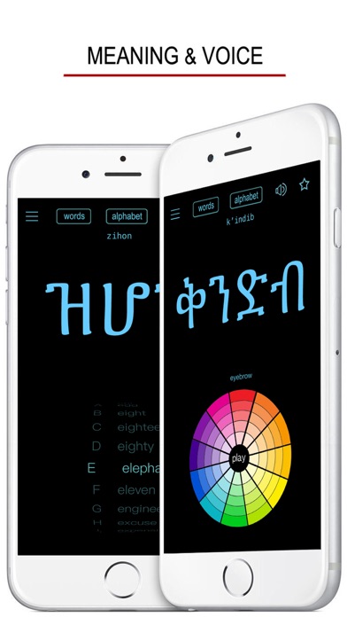 Amharic Words & Writing screenshot 3