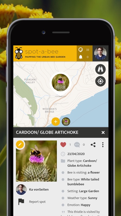 Spot-a-Bee | SPOTTERON screenshot-3