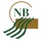 Start banking wherever you are with NBSA Mobile for iPad