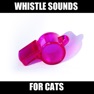 Get Cat Whistle Sounds! for iOS, iPhone, iPad Aso Report