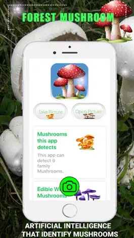 Game screenshot Forest Mushroom mod apk