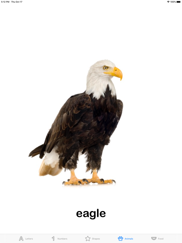 First Words Flashcards App