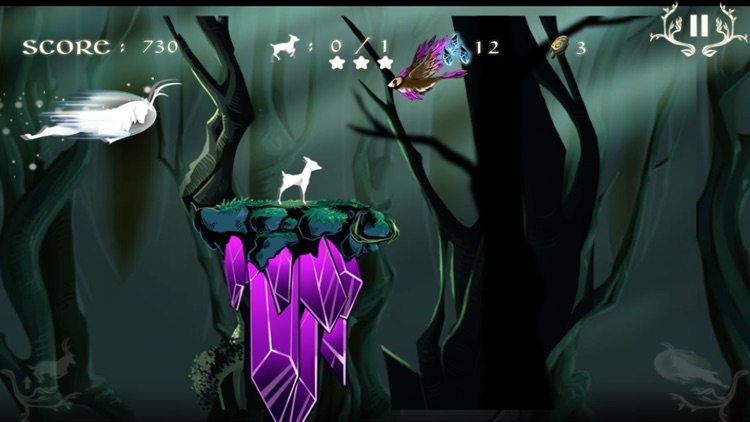 Patron saint of the jungle