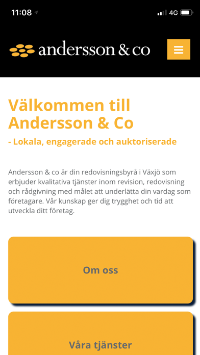 Andersson & Co screenshot 3