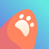 Application regles Pinkllama pour PC