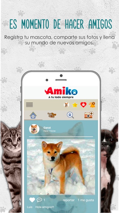 Amiko screenshot 3