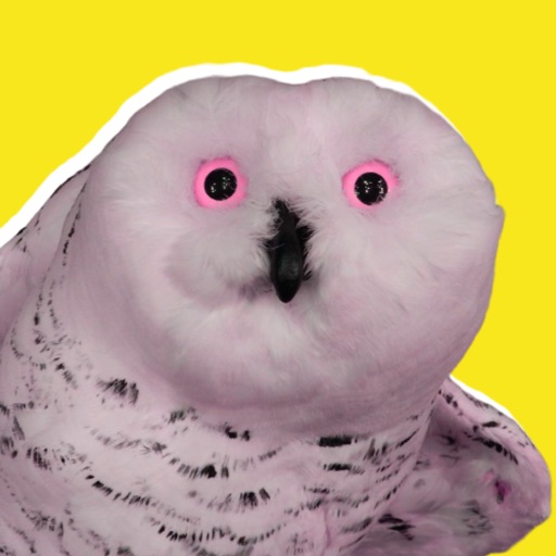 Owl Meme Stickers