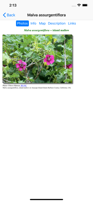 SF Bay Area Wildflowers(圖5)-速報App