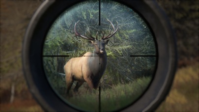 screenshot of HUNTER 2019 6