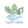 Cuntis Aquae Calidae