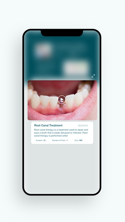 Dental Pro - The Ultimate Dent