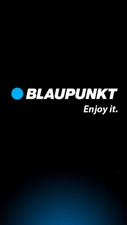 Blaupunkt DVR BP10