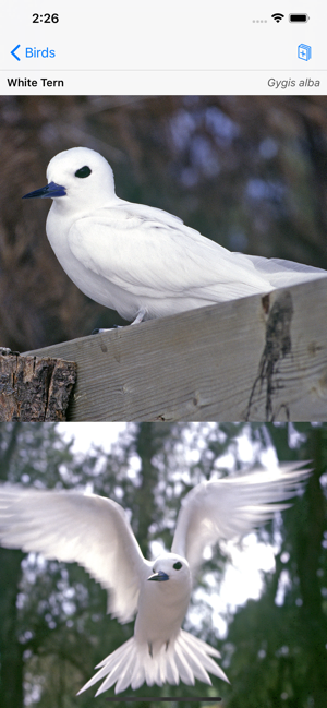 Palmyra Atoll Nature Guide(圖5)-速報App