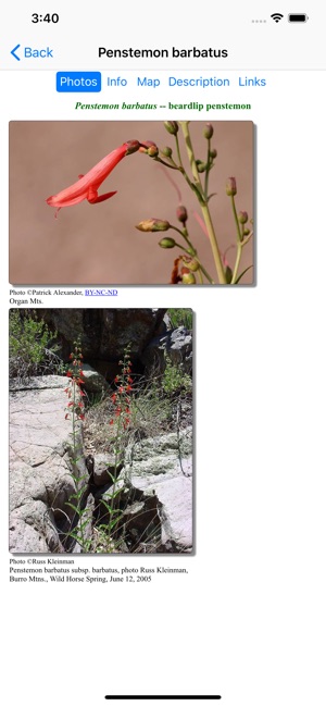 Northern Mexico Wildflowers(圖3)-速報App