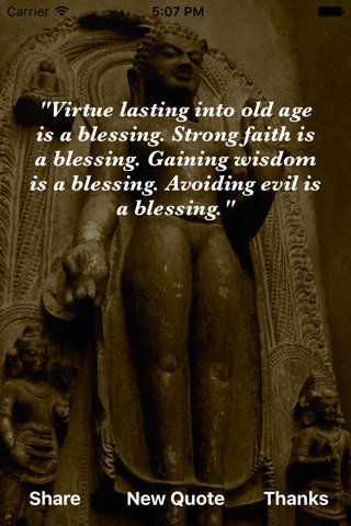Buddha Wisdom - náhled