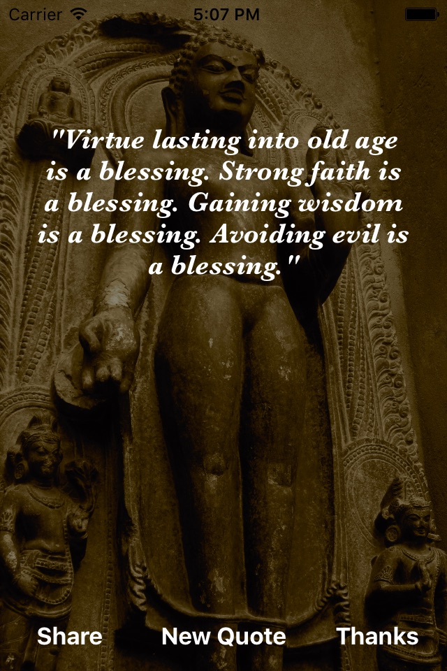 Buddha Wisdom screenshot 2