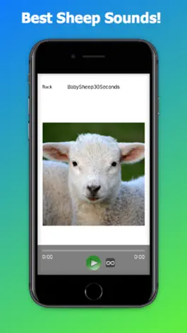 Game screenshot Sheep Sounds + Sheep Noises mod apk