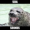 Seal Sounds & Seal Barking