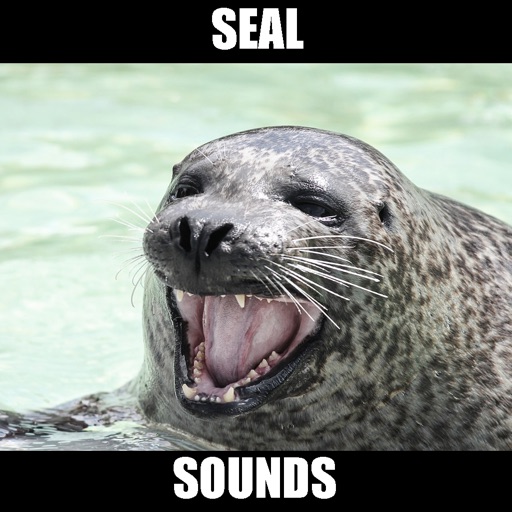 Seal Sounds & Seal Barking icon