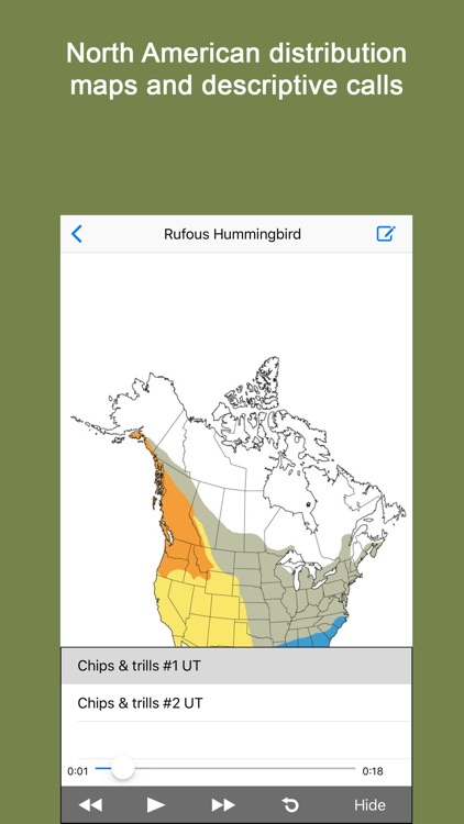 Sibley Guide to Hummingbirds screenshot-3