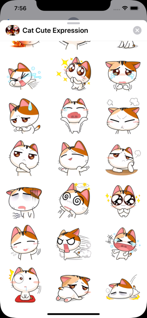 Cat Cute Expression Stickers(圖3)-速報App