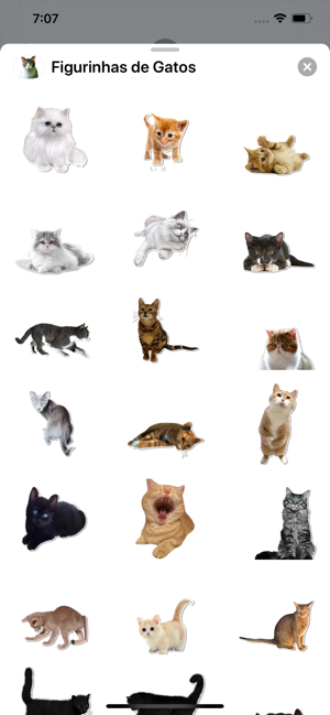 Figurinhas de Gatos(圖3)-速報App