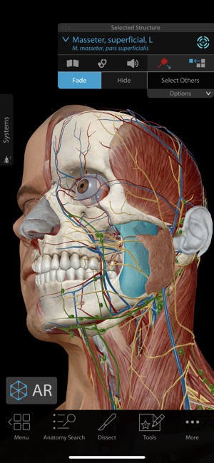 Human Anatomy Atlas 2019