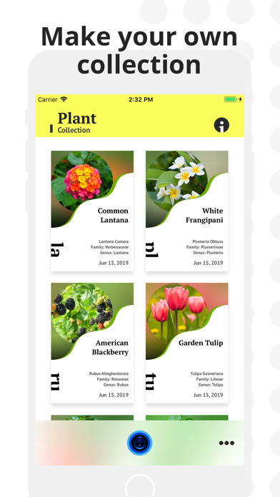 Plant Identification screenshot 3