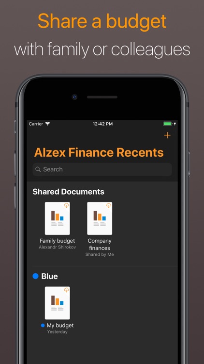 Alzex Finance - Family budget screenshot-0